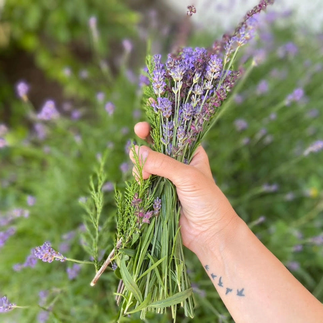 Learn All About Sacred Incense